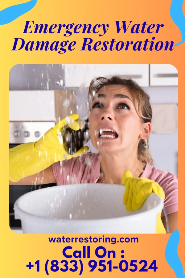 Emergency Water Damage Restoration in Florida Gulf Coast University, FL