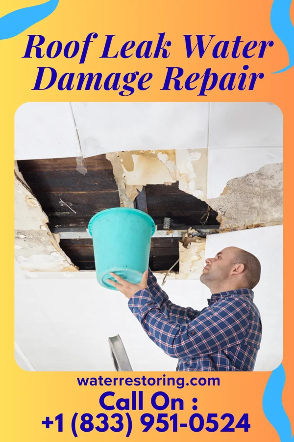 Roof Leak Water Damage Repair in Florida Gulf Coast University, FL